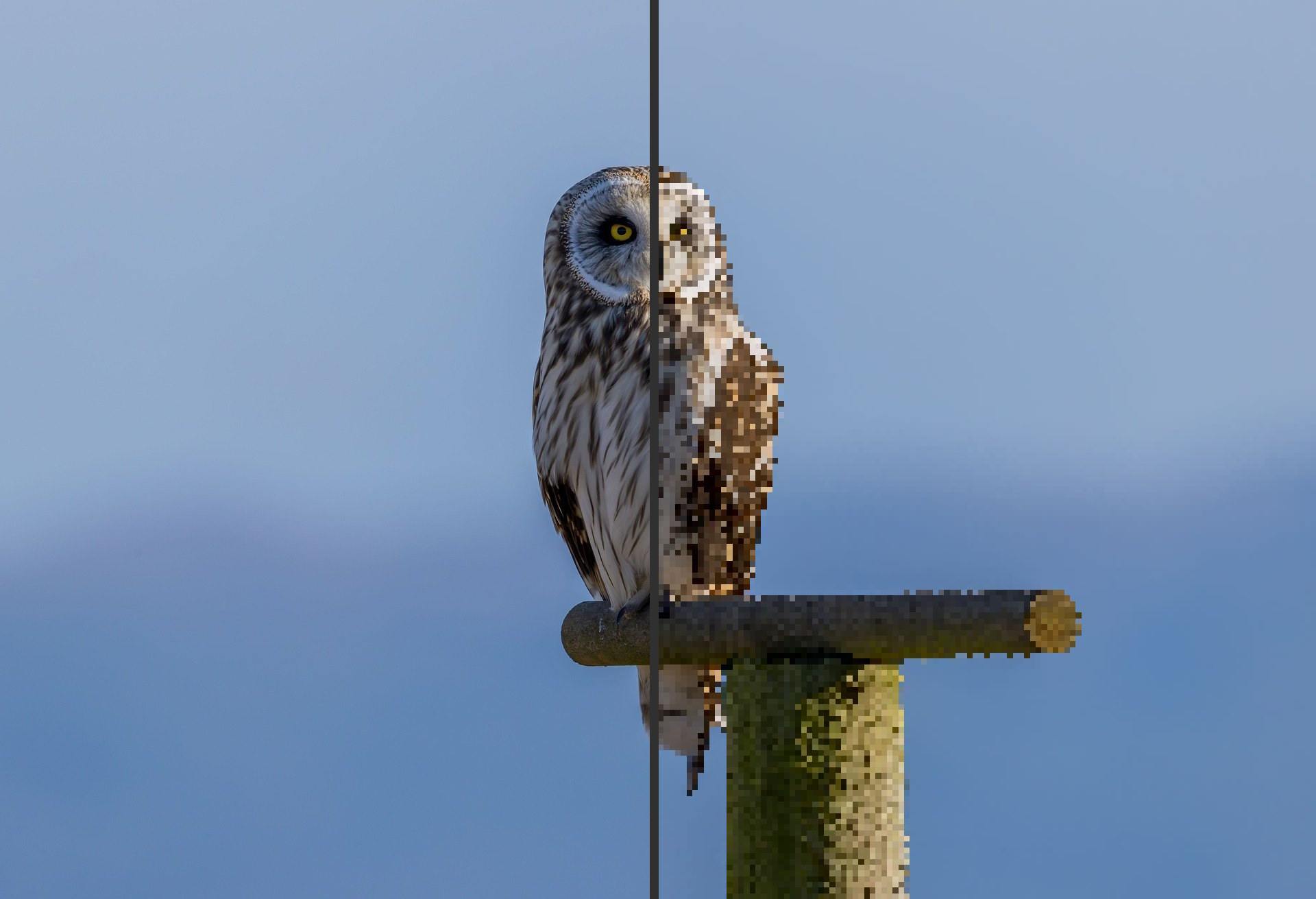 Pixel Snapper before and after example one